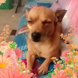 Meet your Posher, Candice